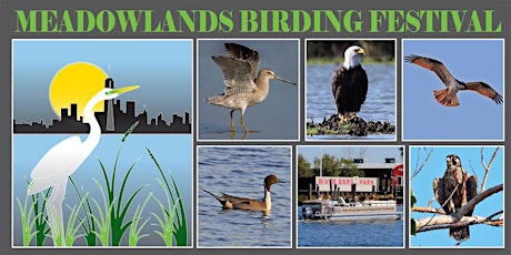 Meadowlands Birding Festival 2019 primary image