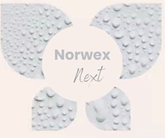 Imagen principal de Norwex Next - Binghamton,  NY