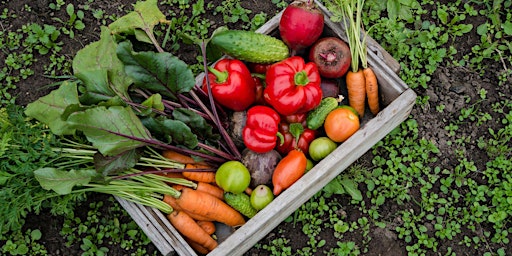 Primaire afbeelding van Virtual Speaker Series - Bountiful Backyard Harvests