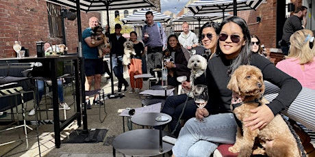 Brunswick East Puppy Pub Crawl