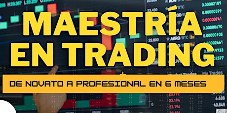 Maestría en Trading: De Novato a Profesional en 6 Meses