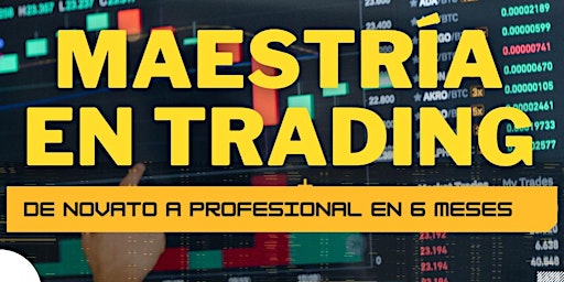 Image principale de Maestría en Trading: De Novato a Profesional en 6 Meses