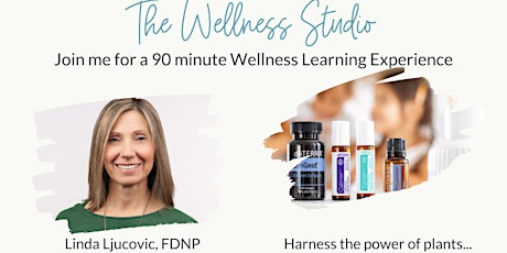 Wellness Studio Learning Experience primary image