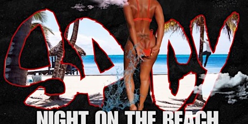 Imagen principal de SPICY NIGHT ON THE BEACH