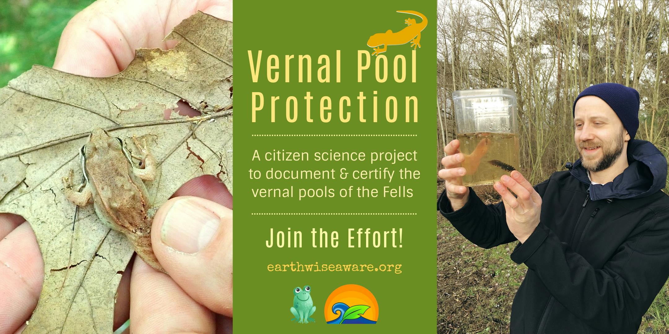 Documenting & Protecting the Vernal Pools of The Fells