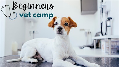 Beginner's Vet Camp 2