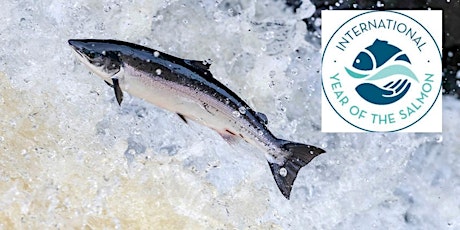 SAVING THE SALMON – SALMON WATCH IRELAND’S POLICY PROPOSALS  primary image