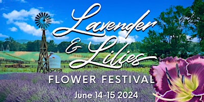 Image principale de Lavender & Lilies Flower Festival 2024