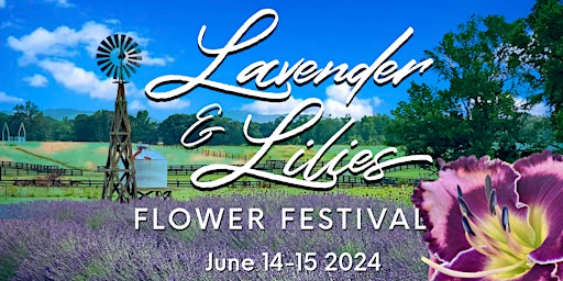 Hauptbild für Lavender & Lilies Flower Festival 2024