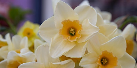 Springtime Blooms Centerpiece Building Workshop