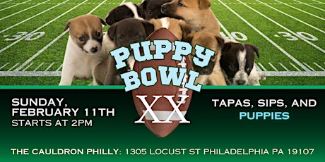 Puppy Bowl at The Cauldron primary image