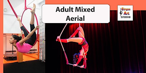 Imagem principal de Adult Mixed Aerial Class
