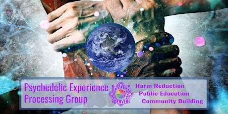 Psychedelic Experience Processing Group