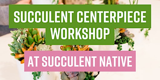 Imagem principal do evento Succulent Centerpiece Workshop