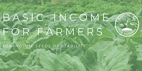 BI4Farmers : Initial Explorative Discussion Using The Basic Income Toolkit