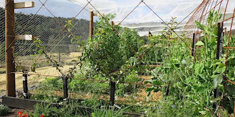 Hidden Valley Workshops: Pruning and Espalier Fruit