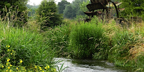 An Introduction to Floodplain Meadows