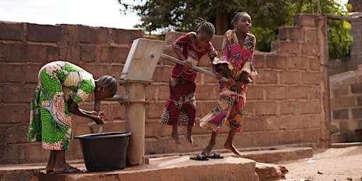 Hauptbild für Climate, Environment and Development  in Zimbabwe and the Diaspora