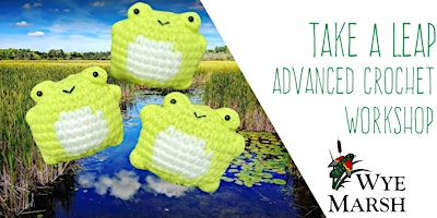 Primaire afbeelding van Take a Leap: Crochet a Frog - Advanced Workshop