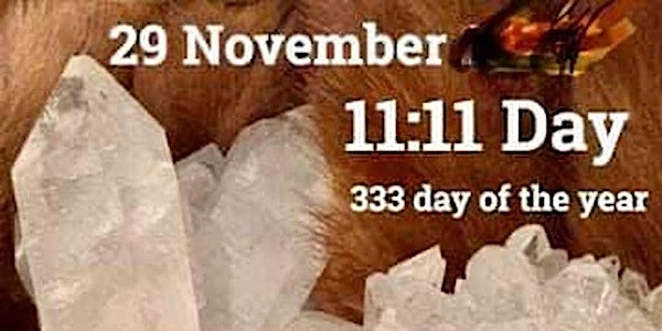 SECOND 11:11:11 Medicine Meditation (29/11/24)