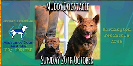 Paws Explores MUDDY DOGSTACLE Adventure 2019 primary image