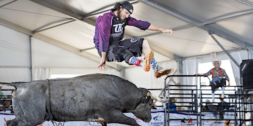 2 Night Freestyle Bull Fights primary image