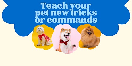 Teach your pet new tricks or commands