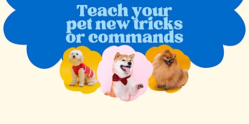Imagem principal do evento Teach your pet new tricks or commands