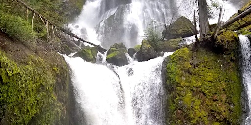 Primaire afbeelding van Women's Nature/Spiritual Retreat in the Gorge