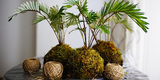 Made by you! Kokedama Workshop primary image