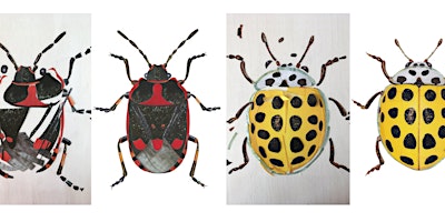 Primaire afbeelding van Family Insect Collage Workshop - City Nature Challenge!