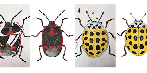 Imagem principal de Family Insect Collage Workshop - City Nature Challenge!