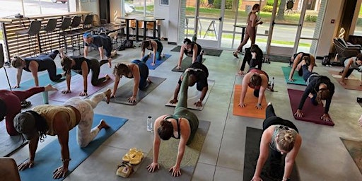 Yoga at Southern Strain Plaza Midwood-Easy Like Sunday Morning Fun Flow  primärbild