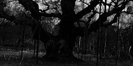 Haunted Sherwood Forest Interactive Ghost Walks, Nottinghamshire