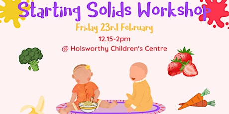 Holsworthy  Starting Solids Workshop primary image