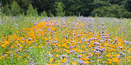 Weleda Medicinal Garden Tour