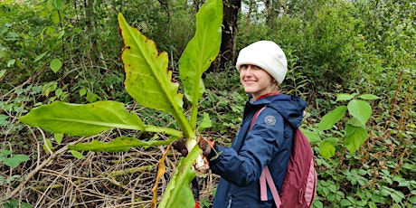 Ranger for a Day - Invasive Species Removal