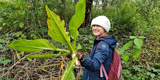 Ranger for a Day - Invasive Species Removal primary image