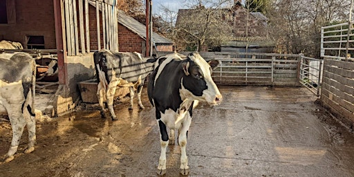 Imagem principal de Ag pollution working group.  The future of  support for farm businesses.