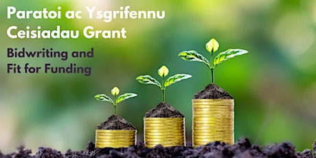 Imagem principal do evento Paratoi ac Ysgrifennu Ceisiadau Grant  / Bidwriting and Fit for Funding