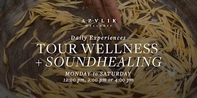 Immagine principale di TOUR WELLNESS + SOUNDHEALING 