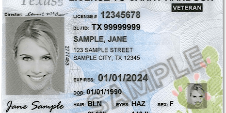 Texas License to Carry a Handgun Class primary image