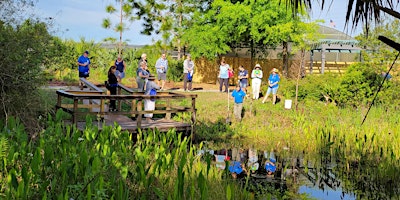 Water Wednesday Gardening Workshop Live Demonstration primary image