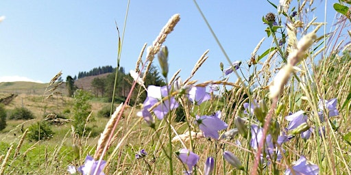 Hauptbild für 'Heart of Scotland' - Practical Conservation Day