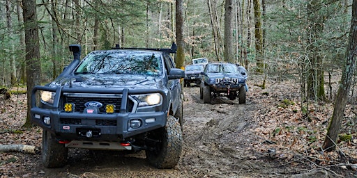 Dirt Road Exploration at Michaux State Forest primary image