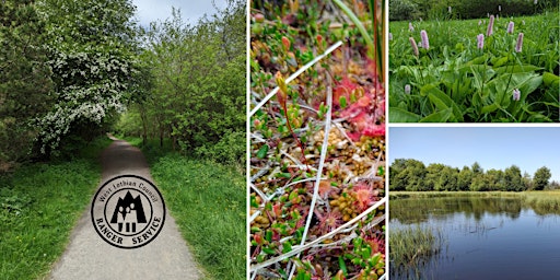 Black Moss Volunteer Session  primärbild