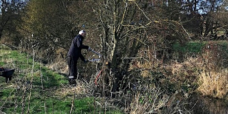 Kilnhurst Ings Volunteer Work Day