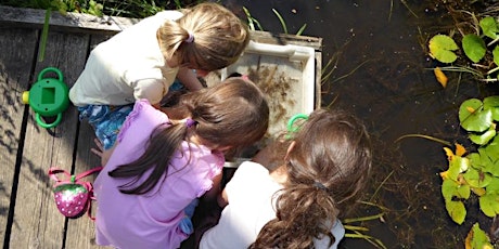 Pond Dipping at Kingsbury Water Park