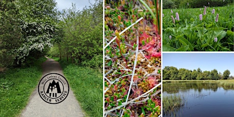 Black Moss Volunteer Session