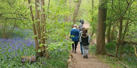 Spring wildflower walk (Gamlingay Wood)